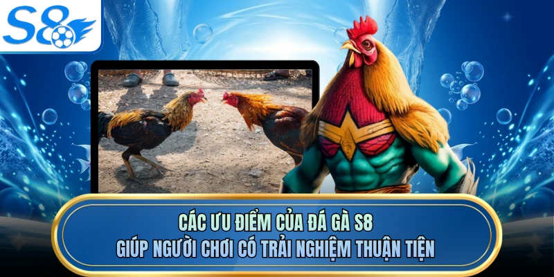 Các ưu điểm của đá gà S8 giúp người chơi có trải nghiệm thuận tiện