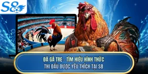 Đá Gà Tre - Tìm Hiểu Hình Thức Thi Đấu Được Yêu Thích Tại S8