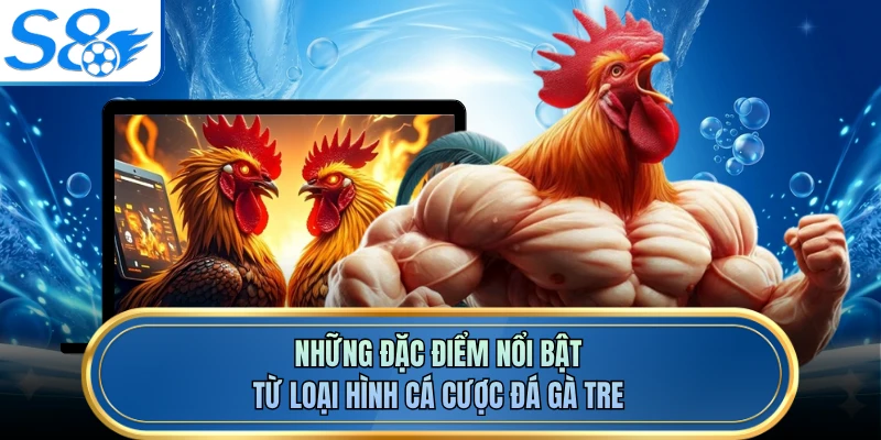 Những đặc điểm nổi bật từ loại hình cá cược đá gà tre