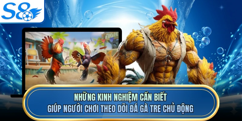 Những kinh nghiệm cần biết giúp người chơi theo dõi đá gà tre chủ động