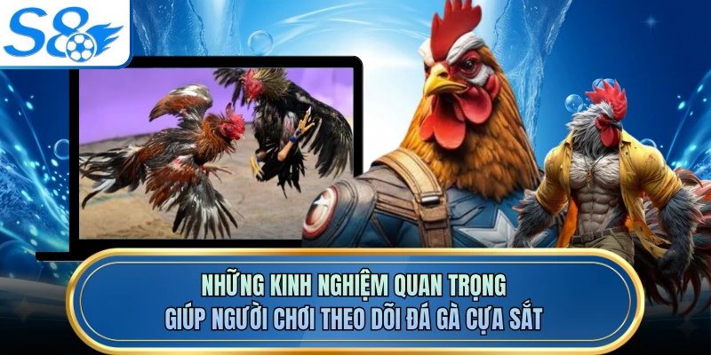 Những kinh nghiệm quan trọng giúp người chơi theo dõi đá gà cựa sắt